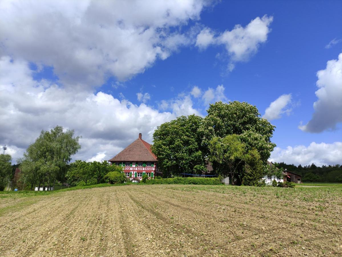 Hofgut Breitenbach Markdorf Esterno foto